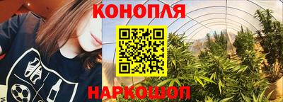 прущие грибы Заволжье