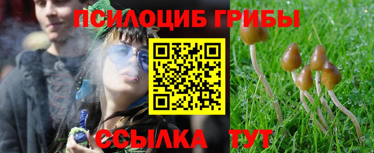 Псилоцибиновые грибы мухоморы  Вход с VPN  Лосино-Петровский 